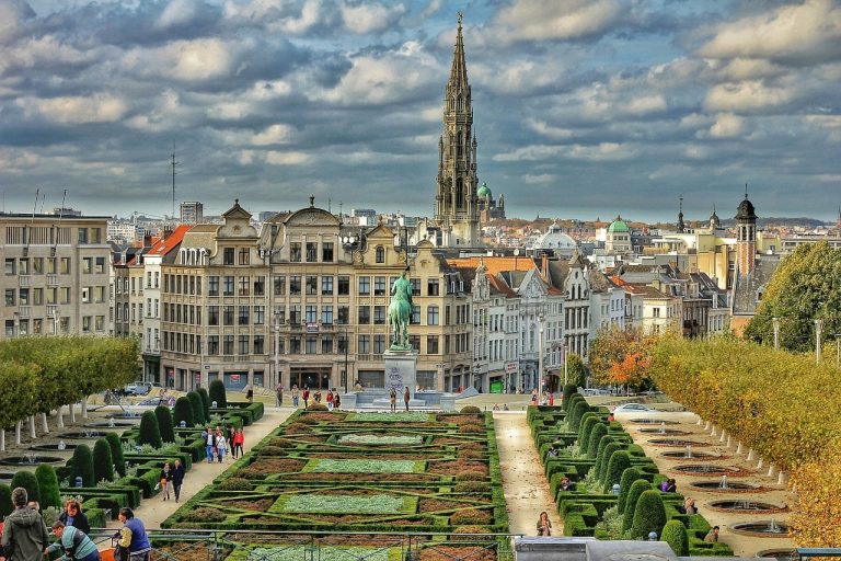 brussels vegan